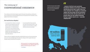 Excerpt from Preparing for Conversational Commerce eBook